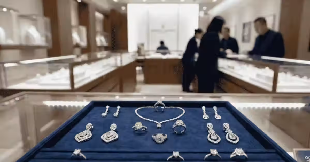 PNGS Reva Diamond Jewellery IPO Opens Feb 24: Price Band, Dates, GMP